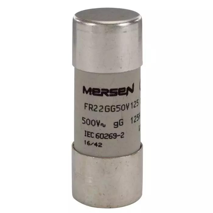 Mersen Slow-Blow Ceramic Cartridge Fuse 125 A 500 V AC 22.2x58 mm, FR22GG50V125 (Pack of 10 Pcs)