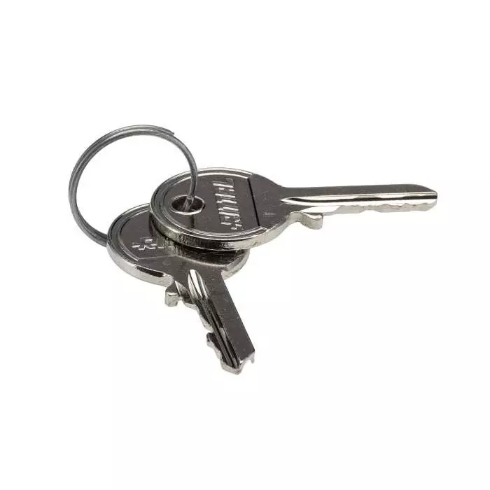 Rittal SZ Series Key with 3524 E barrel For Use With Security Lock 3524 E, 2532000 (Pack of 2 Pcs)