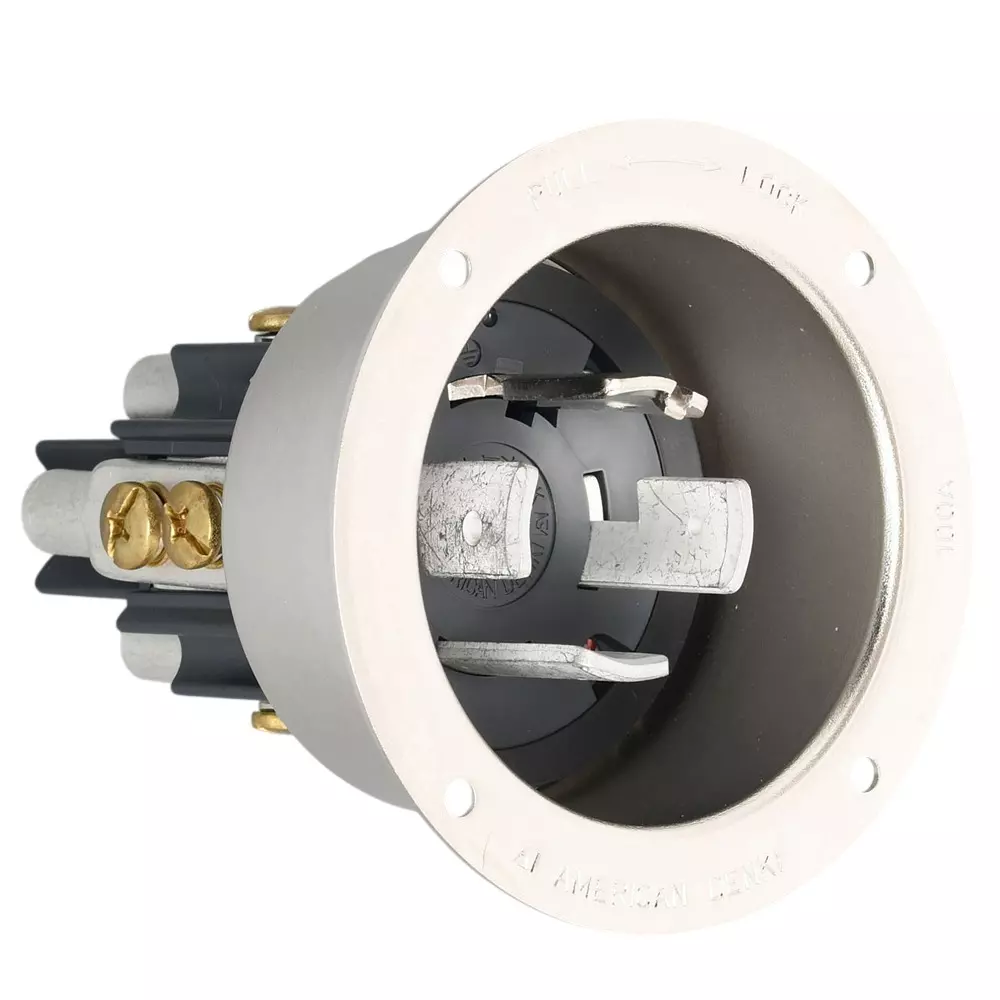 AMERICAN DENKI Hook Type Flange Inlet 250 V Rated Voltage, 41025
