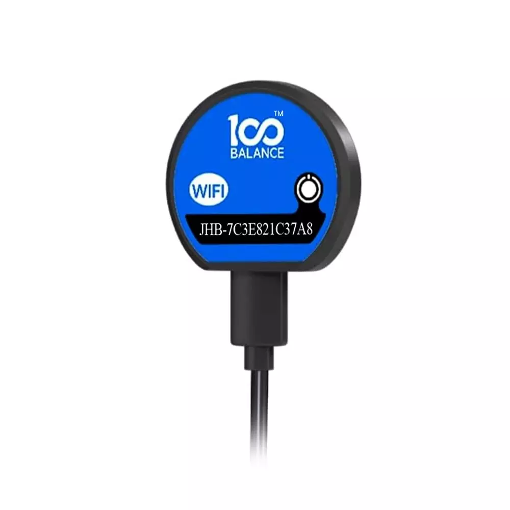 100 BALANCE WiFi Module 2.4 GHz WiFi Connectivity for Smart Active Balance BMS with 45 cm Cord Length