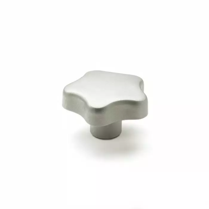 Elesa Natural Stainless Steel Knob M10 Blind Hole, 169547 (Pack of 10 Pcs)