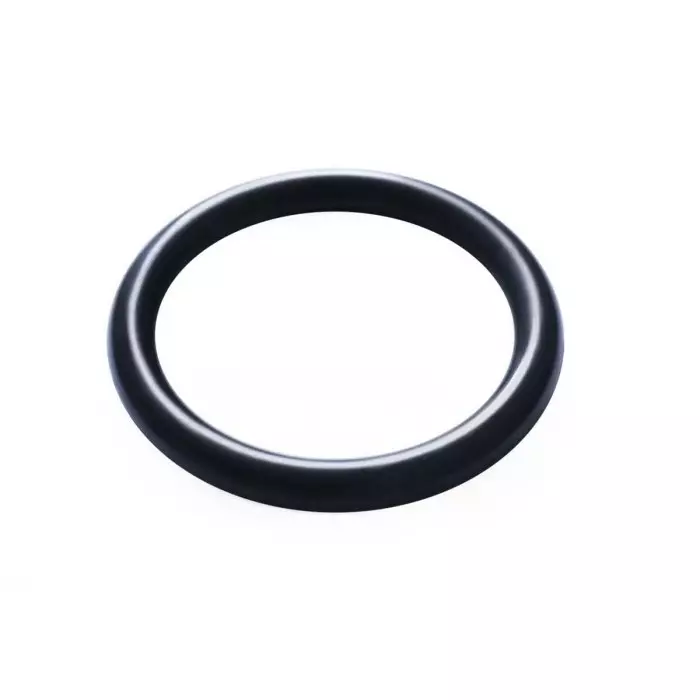 Hutchinson Le Joint Francais O-Ring 24.6 mm Bore & 31.8 mm Outer Diameter, 124800 (Pack of 10 Pcs)