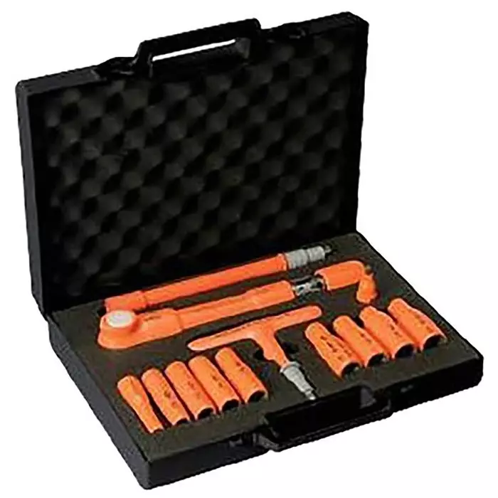 Penta Mechanical Torque Wrench Set 3/8 inch Hex Drive 6mm Insert - RS Calibrated, MS100V02