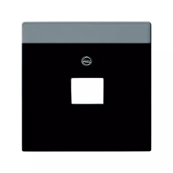 ABB Black 1 Gang Plastic RJ45 Cover Plate, 2CKA001710A3616
