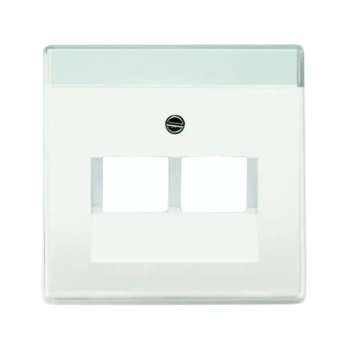 ABB White 2 Gang Plastic RJ45 Cover Plate, 2CKA001710A3888