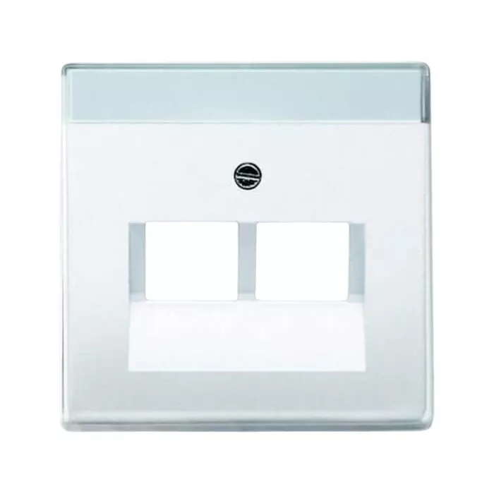 ABB White 2 Gang Plastic RJ45 Cover Plate, 2CKA001710A3164