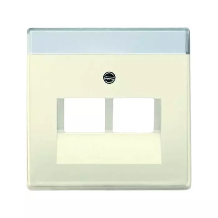 ABB White 2 Gang Plastic RJ45 Cover Plate, 2CKA001710A3146