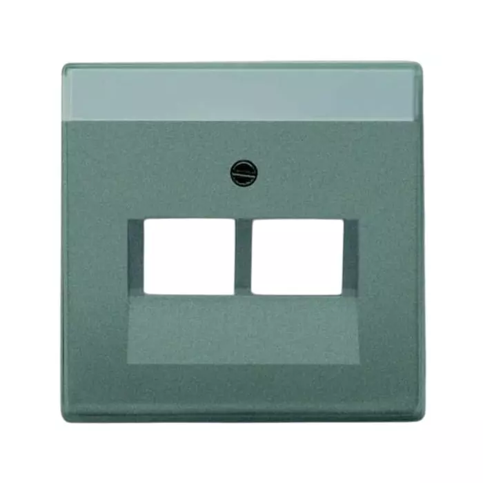 ABB Grey 2 Gang Plastic RJ45 Cover Plate, 2CKA001710A3853