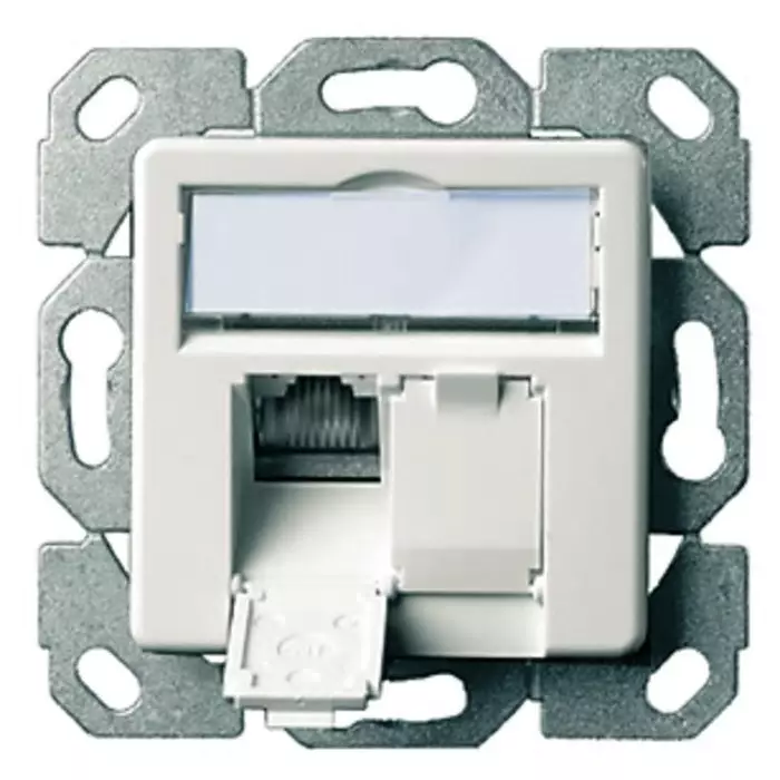 Telegartner Telegartner Data Series Angled Cat6a 2 Way RJ11 RJ12 RJ45 OutletWith Shielded Shield Type, J00020A0500