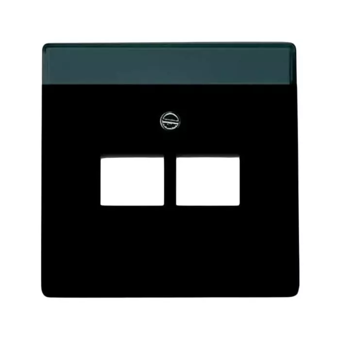 ABB Black 2 Gang Plastic RJ45 Cover Plate, 2CKA001710A3911