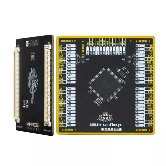 BRAND REX SiBRAIN For ATmega3250 Microcontroller Development Board, MIKROE-5370