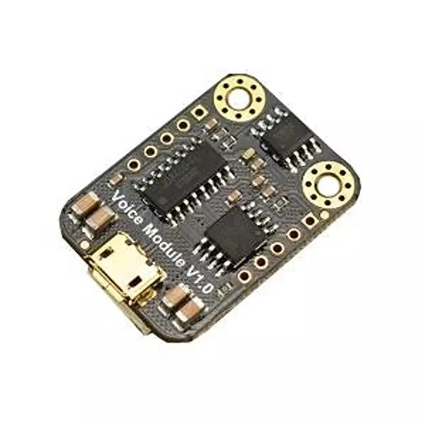 DFROBOT Audio Evaluation Module 3.3 to 5 V, DFR0534
