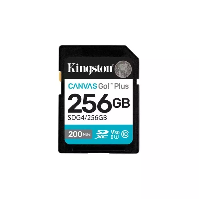 Kingston 256 GB SDXC SD Card, Class 10, U3, UHS-I, V30, SDG4/256GB