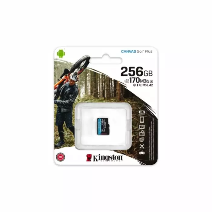 Kingston 256 GB MicroSDXC Micro SD Card, Class 10, SDCG3/256GBSP