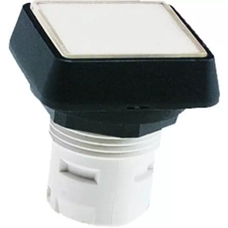 RAFI Solid State Indicator Panel Mount, 1.65.124.301/1505