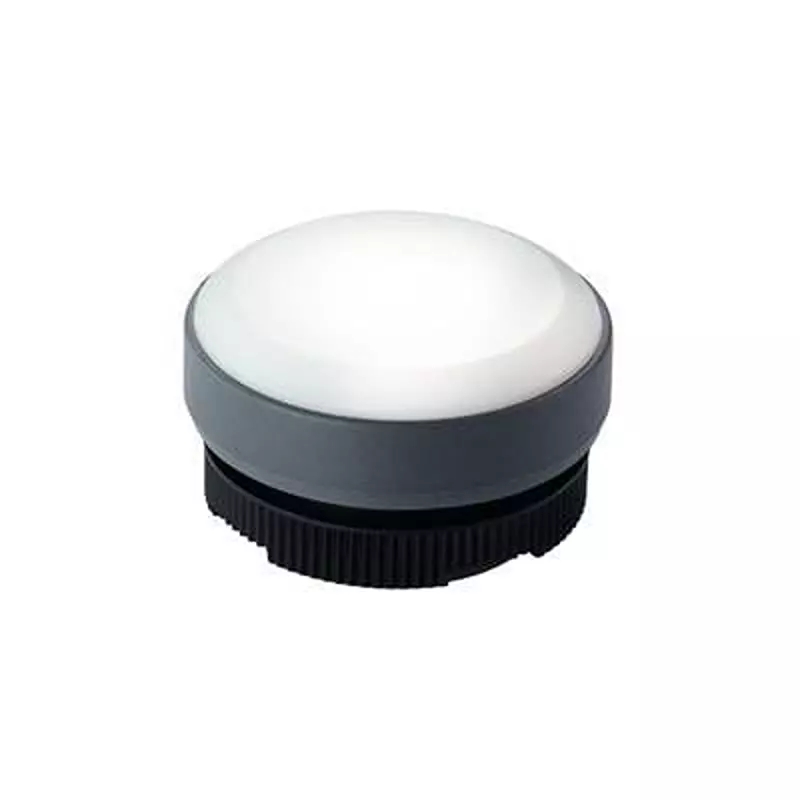 RAFI Solid State Indicator, 1.74.508.001/2300