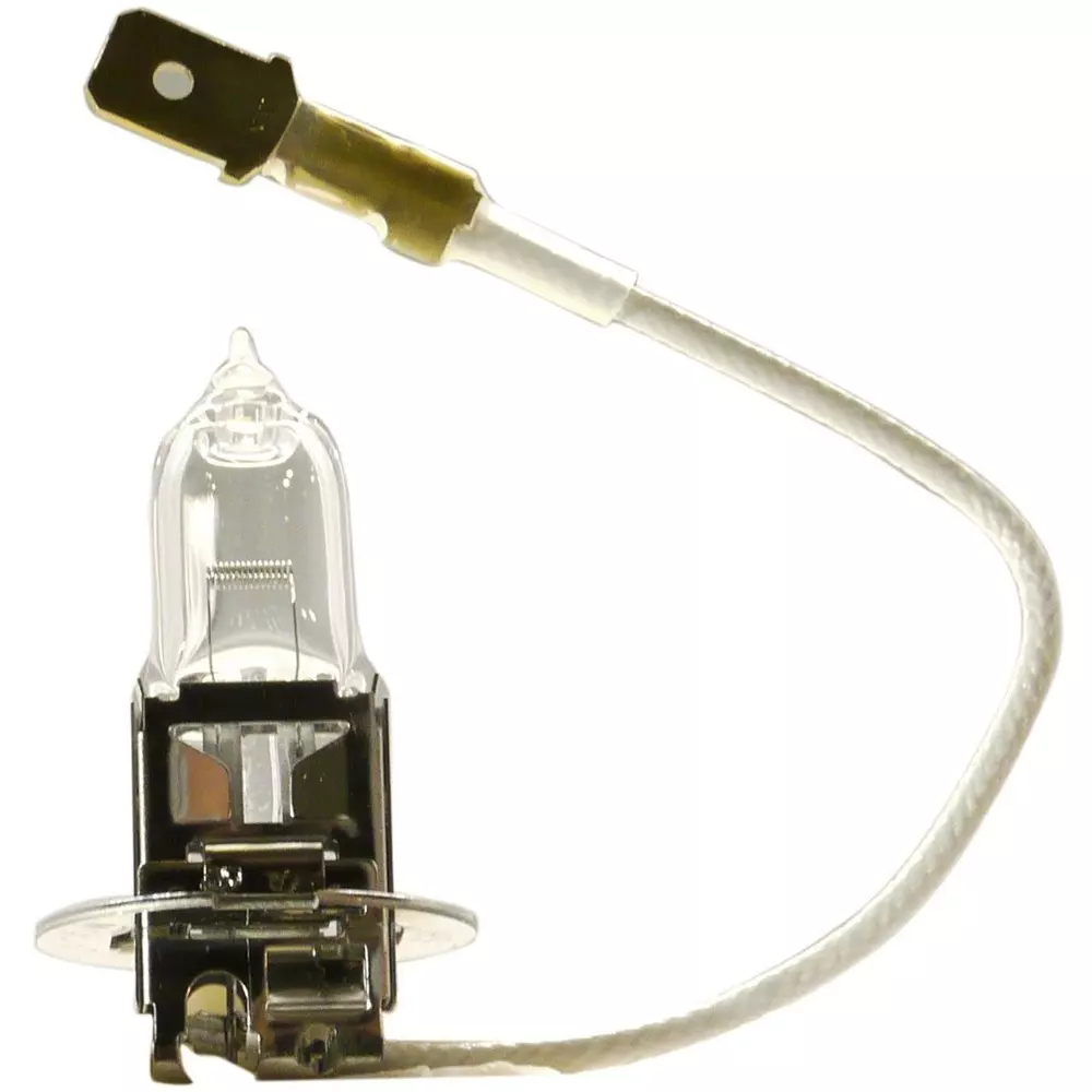 PATLITE Halogen Bulb 24 V 55 W Specifications Halogen bulb w Light Bulb D02405514-F1