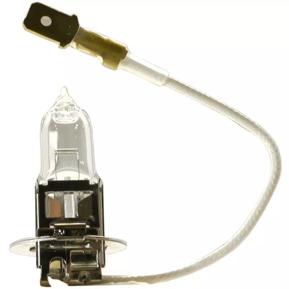PATLITE Halogen Bulb 24 V 55 W Specifications Halogen bulb w Light Bulb D01205514-02F1 (Pack of 10)