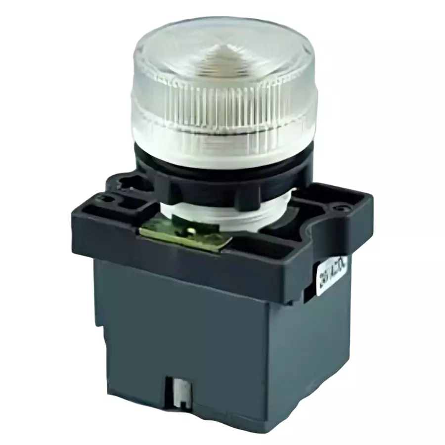 C&S Electric LED Type Pilot Lamp Clear 220 V DC 22.5 mm Mounting Dia, RCP2-BVL77