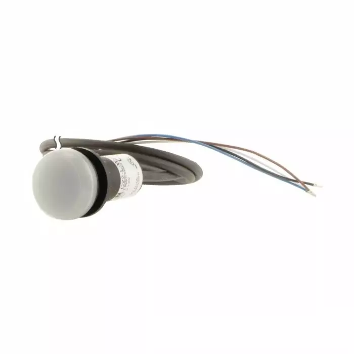EATON Panel Mount White LED Indicator, 22.5 mm Cutout, Round, 185147 C22-L-W-24-P65