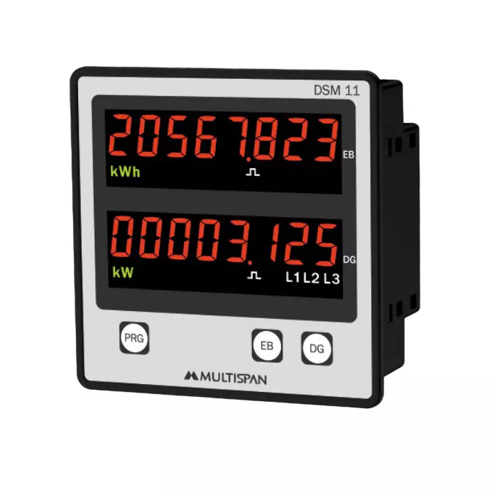 MULTISPAN Dual Source Energy Meter 8-Digit 2-Line Energy/Power Parameter 96x96x54 mm, DSM-11