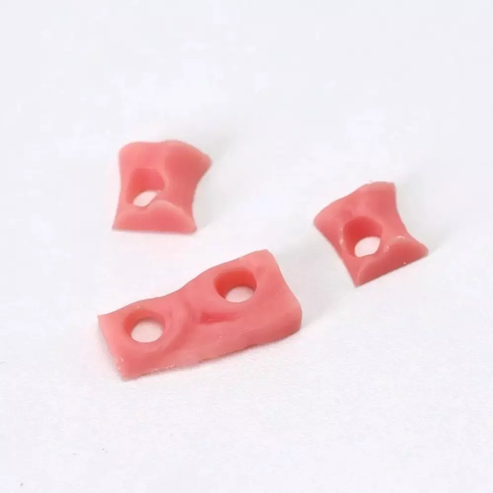 molegrid-gingiva-mask-gum-tissue-resin-pink-color-500-g-weight