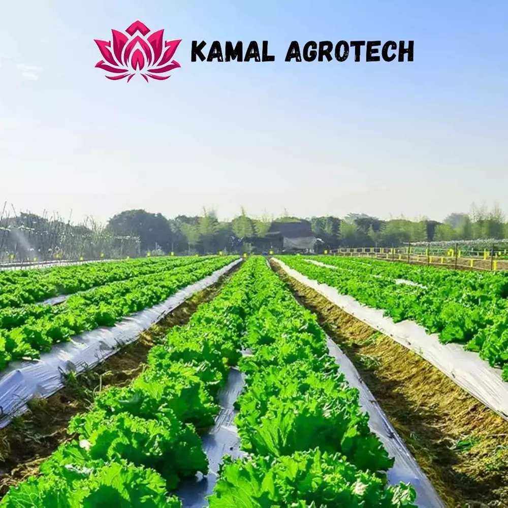 kamal-agrotech-1x400-m-20-micron-plastic-black-mulching-sheet-for-agriculture-for-all-crops