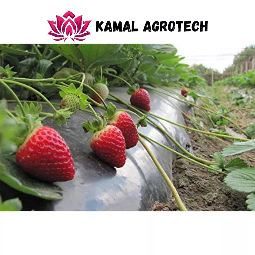 kamal-agrotech-1x400-m-20-micron-plastic-black-mulching-sheet-for-agriculture-for-all-crops