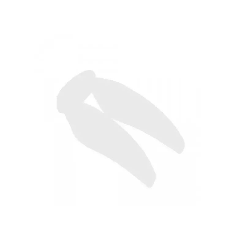 Pro-Range Propellers F4019 Floppy Proppy 2 Blade Propellers 2CW+2CCW -Milk White