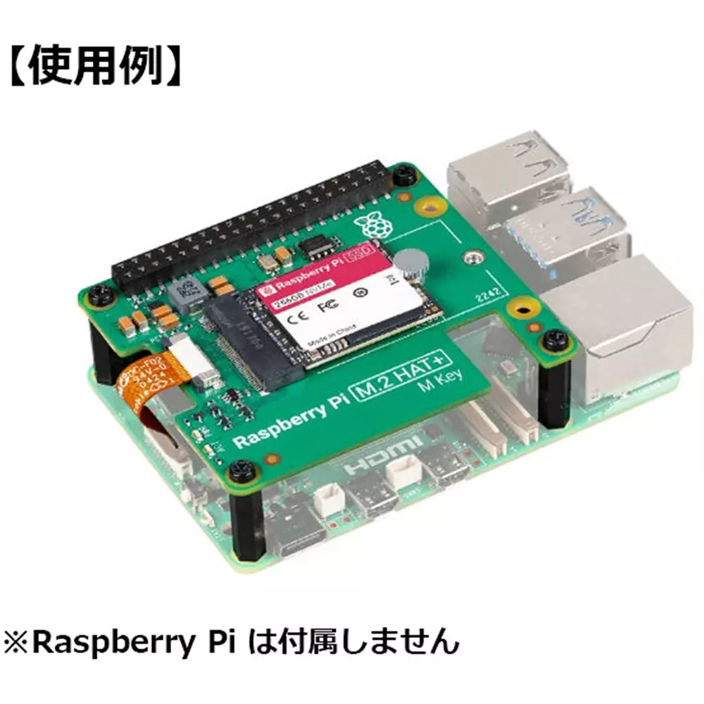 raspberry-pi-raspberry-pi-256-gb-gb-capacity-m2-form-factor-shape-m-key-slots-sc1675
