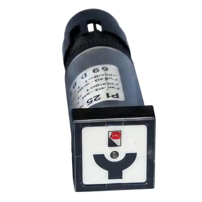 Secure Position Indicator PI36 Square Shape 36x36 mm Size and Disconnector-5 Symbol, 106540-054