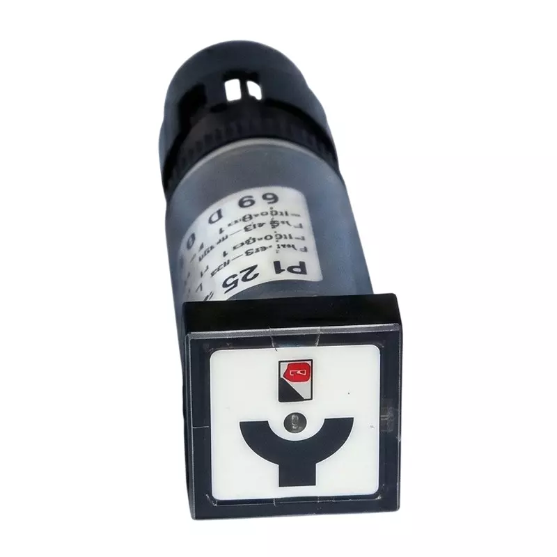 Secure Position Indicator PI25 Square Shape 25x25 mm Size and Disconnector-5 Symbol, 106520-054
