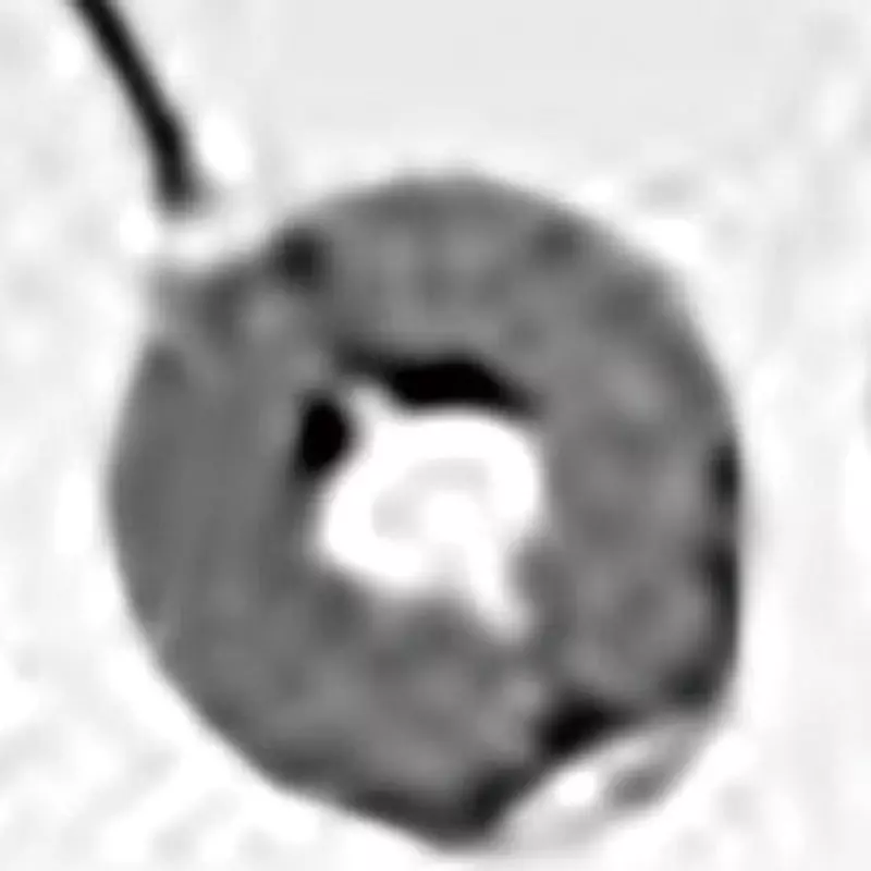URD AC Current Sensor -20 to 60 ° C, ≤80% RH, non-condensing for mounting in the panel, mounting di, CTL-36CL-500A/5A-C3