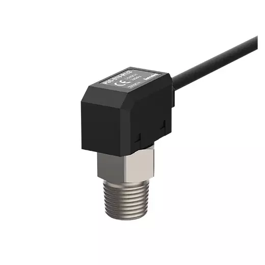 Autonics Pressure Sensors 12-24 VDC(3M), PSS-01V-R1/8