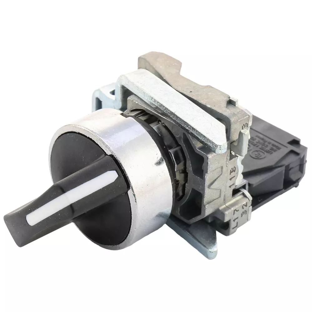 SCHNEIDER ELECTRIC Selector Switch, 1-Pole, 6A, 120Vac, Xb4Bd41