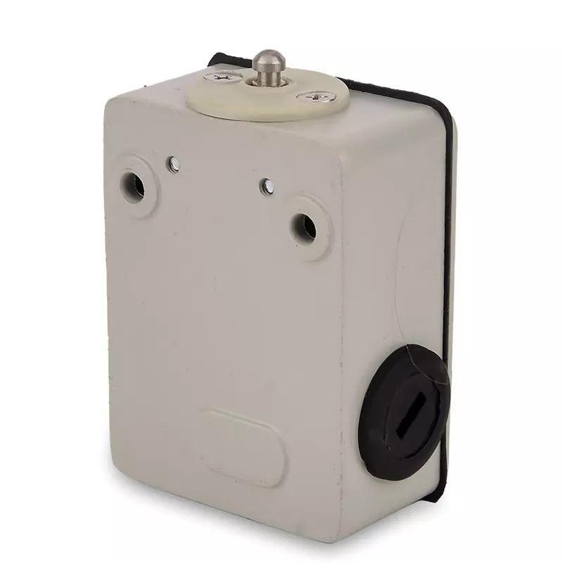 Avon Standard Limit Switch with Push Rod Actuation Snap Action 1 NO + 1 NC, LSN-111