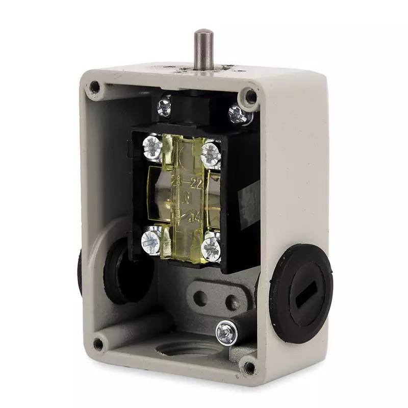 Avon Standard Limit Switch with Push Rod Actuation Snap Action 1 NO + 1 NC, LSN-111