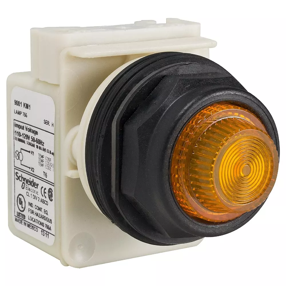 TELEMECANIQUE SENSORS Limit Switch, Dpst-Nc-Db, 6A/120Vac, L100Wnc2M18