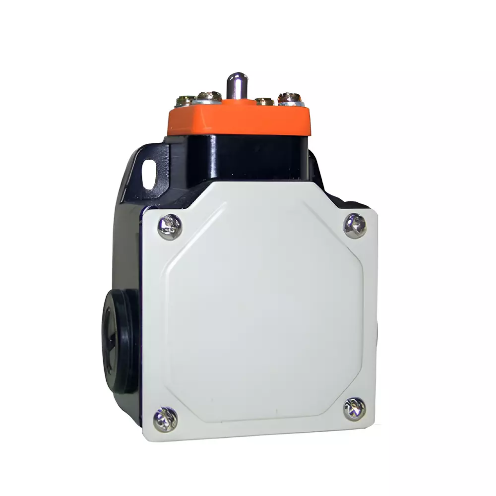 Avon Standard Limit Switch 1NO + 1NC, BLS-111