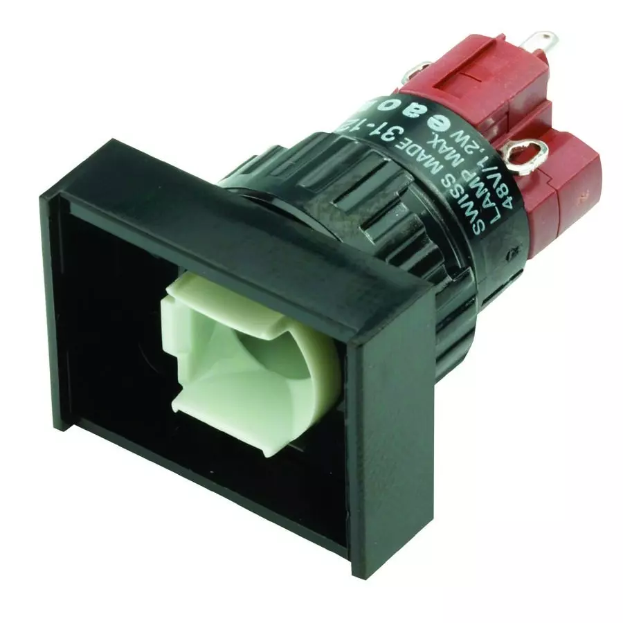 EAO SWITCH, PUSHBUTTON, DPDT, 5A, 250V, 31-262.025