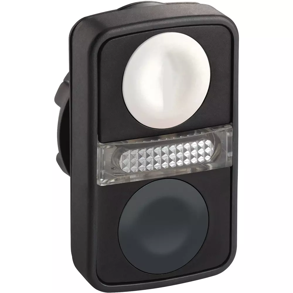Pro-face Wireless Switch Plastic Head [Transmitter] 2 units, ZB5AW7A1720