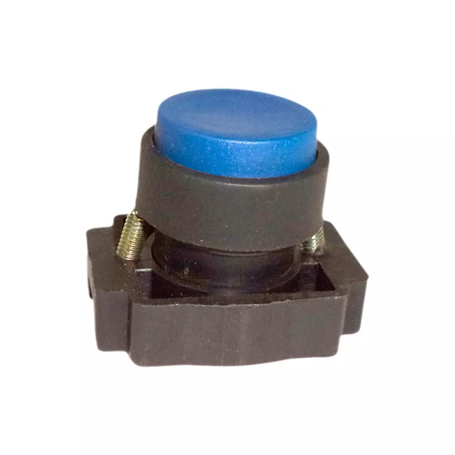 Avon Push Button Luminous Unshrouded Plastic Blue, PBS-5 U