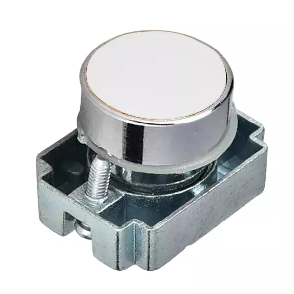 C&S Electric Flush Spring Return Push Button Powder Coated with Carrier Metallic Range, RCB2-BA