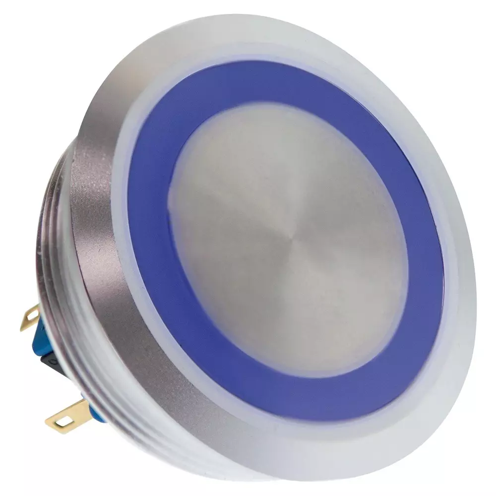 E-SWITCH Antivandal Sw, Dpdt-Db, 2A, 48Vdc, Panel, Pv10F2U0Ss-341.