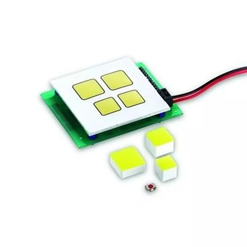 RAFI Switch Cap for Tactile Switches, 5.05.511.471/2200