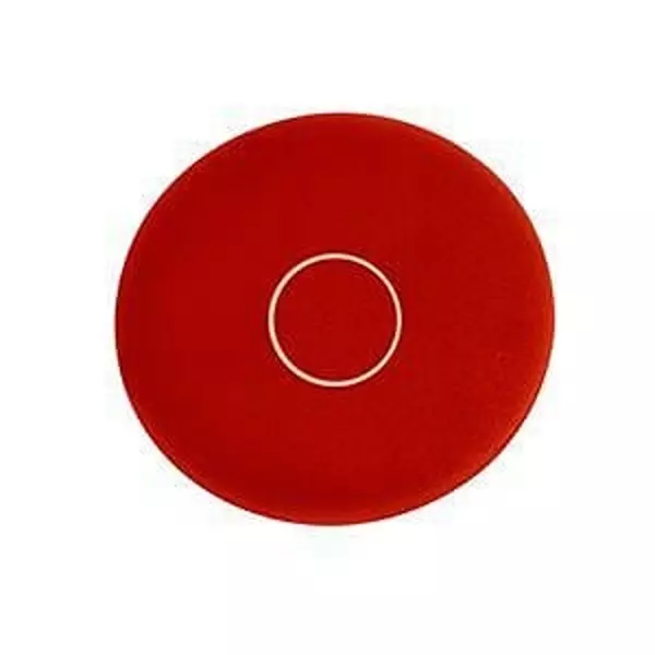 EATON Pushbutton Button Plate for 22.5 mm Pushbutton Switches, M22-XD-R-X0