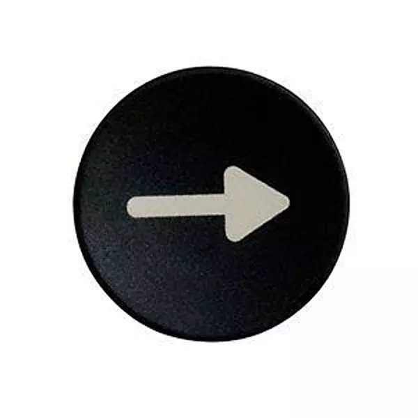 EATON Pushbutton Button Plate for 22.5 mm Pushbutton Switches, M22-XD-S-X7