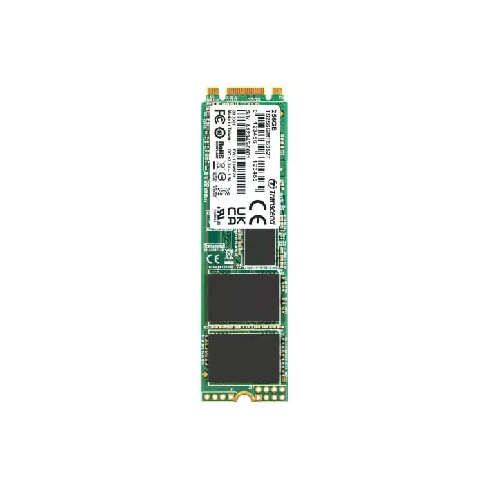 Transcend MTS952T-I M.2 256 GB Internal SSD, TS256GMTS952T-I