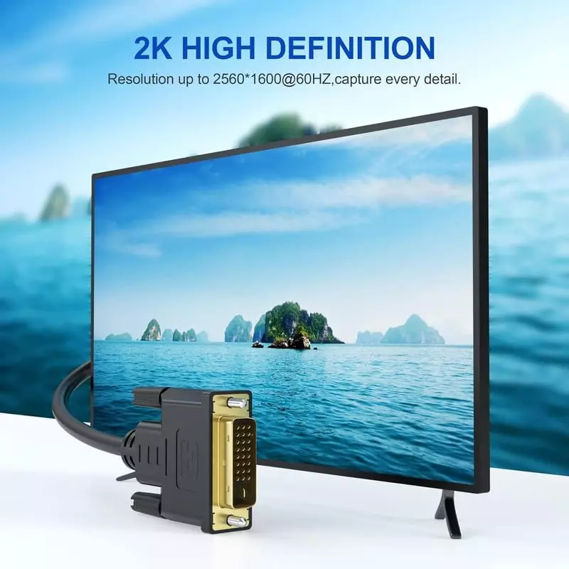 PremiumAV DVI-D 24+1 Cable 3 m (10Ft) Male to Male HDR Digital Video Cable with Gold-Plated Connector for Computer, HDTV, Gaming, Monitor, Projector Black