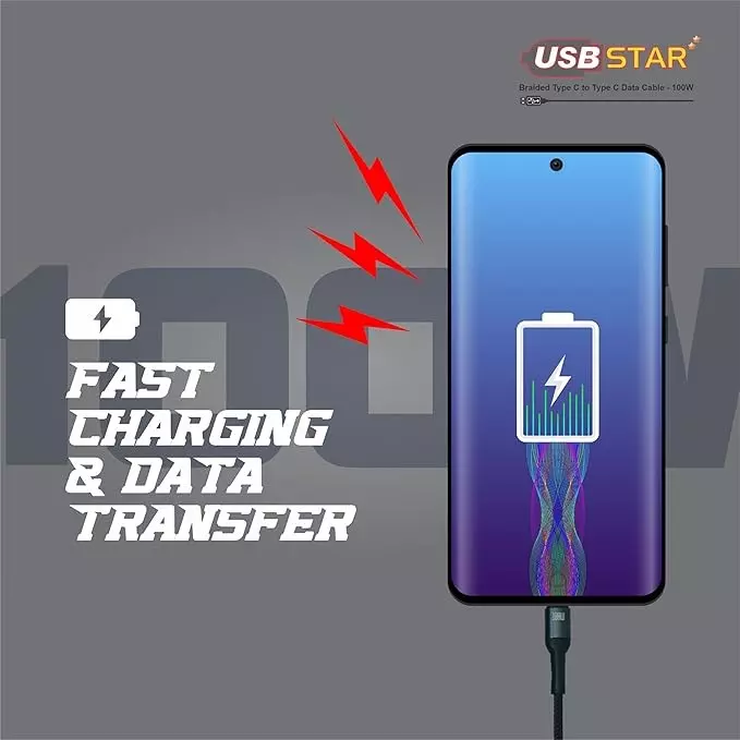 Havells 1 m USB Star Data Cable Type C to Type C Braided Design, 5 A, 100 W, AHNREHB001